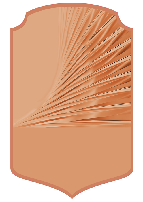 Rare Bronze 26 card design